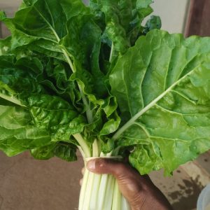 Spinach